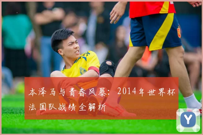 本泽马与青春风暴:2014年世界杯法国队战绩全解析