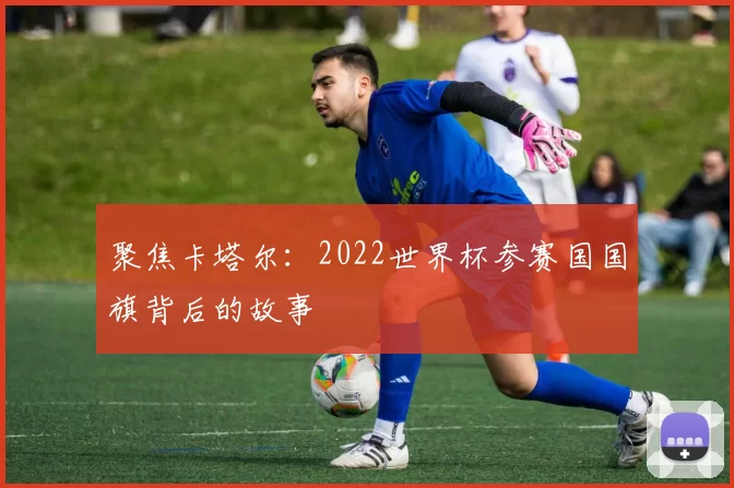 聚焦卡塔尔：2022世界杯参赛国国旗背后的故事