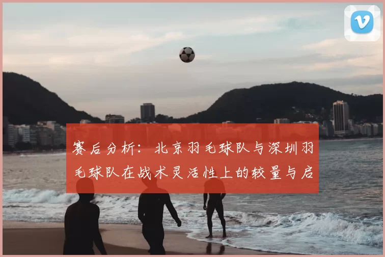 赛后分析:北京羽毛球队与深圳羽毛球队在战术灵活性上的较量与启示