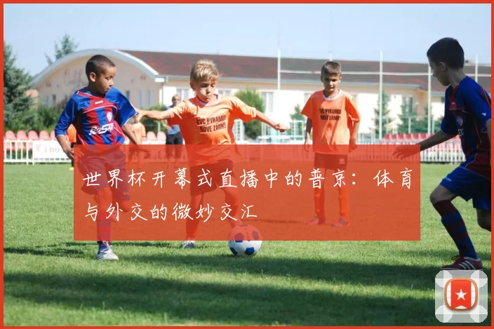 世界杯开幕式直播中的普京：体育与外交的微妙交汇