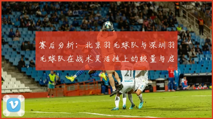 赛后分析:北京羽毛球队与深圳羽毛球队在战术灵活性上的较量与启示