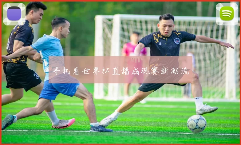 手机看世界杯直播成观赛新潮流