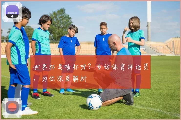 世界杯是啥杯呀?专访体育评论员,为你深度解析