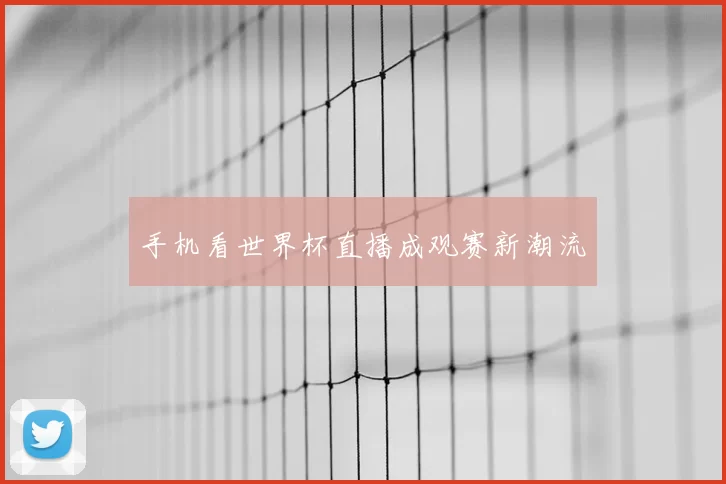 手机看世界杯直播成观赛新潮流