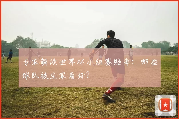 专家解读世界杯小组赛赔率：哪些球队被庄家看好？