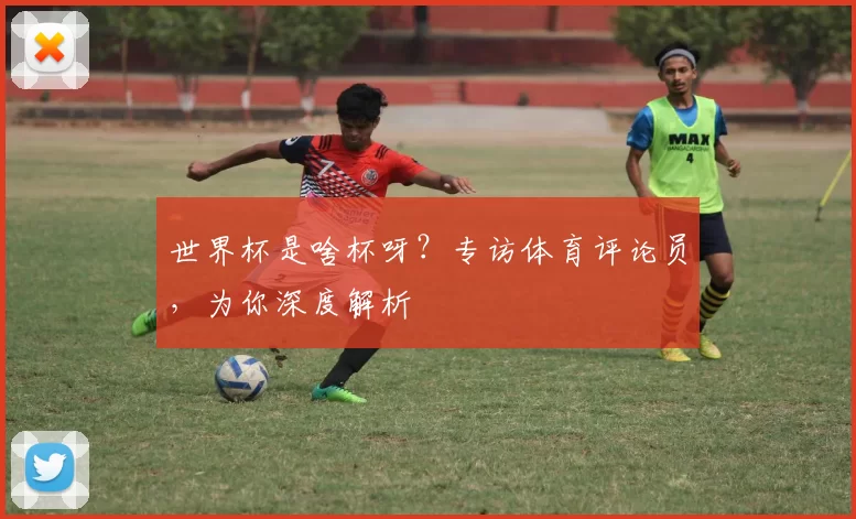 世界杯是啥杯呀?专访体育评论员,为你深度解析