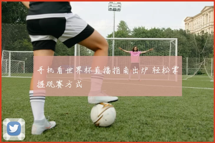 手机看世界杯直播指南出炉 轻松掌握观赛方式