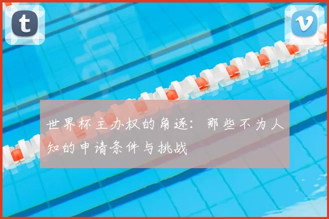 世界杯主办权的角逐：那些不为人知的申请条件与挑战