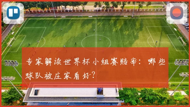 专家解读世界杯小组赛赔率：哪些球队被庄家看好？