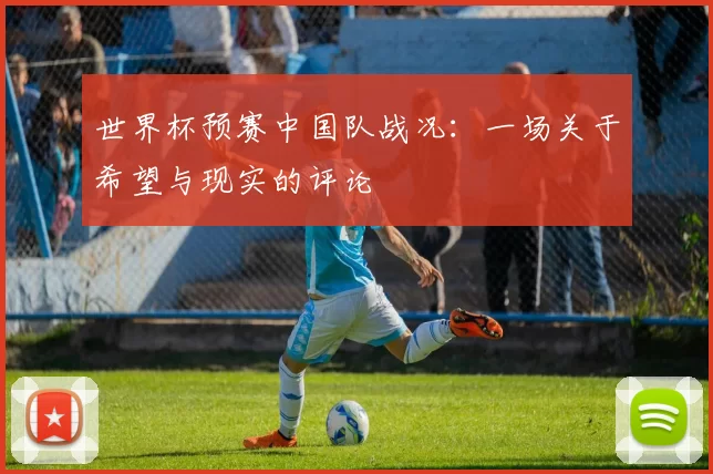 世界杯预赛中国队战况：一场关于希望与现实的评论